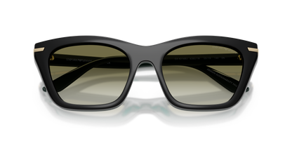 EMPORIO ARMANI EA4274BU 63801W 53