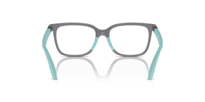 EMPORIO ARMANI EK3006 6134 49