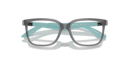 EMPORIO ARMANI EK3006 6134 49