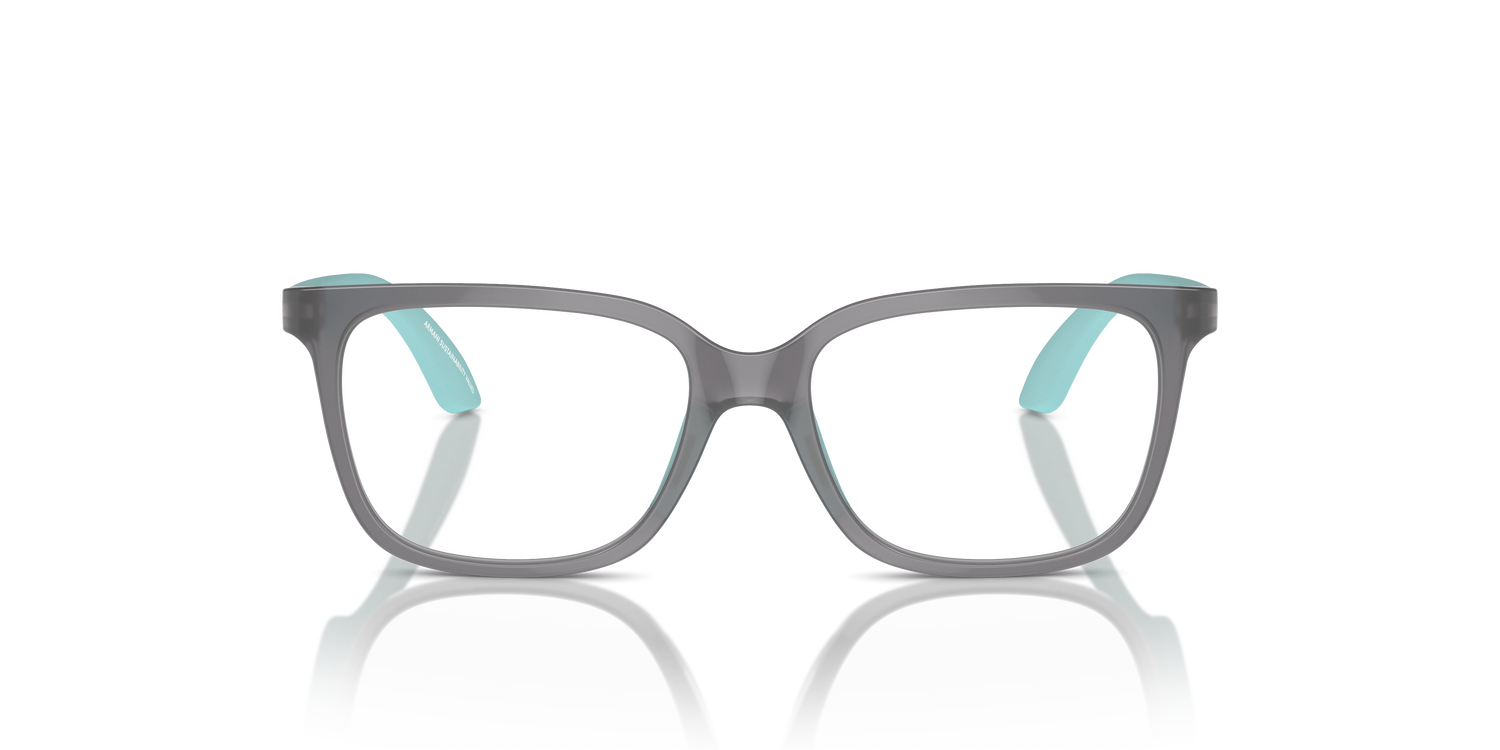 EMPORIO ARMANI EK3006 6134 49