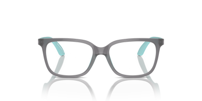 EMPORIO ARMANI EK3006 6134 49