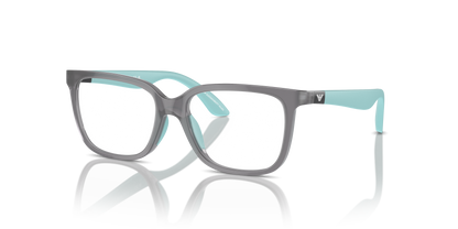 EMPORIO ARMANI EK3006 6134 49