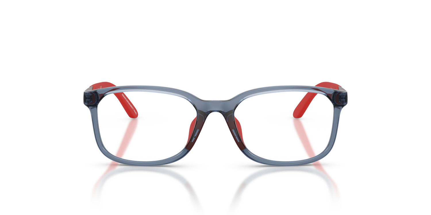 EMPORIO ARMANI EK3008U 6278 49