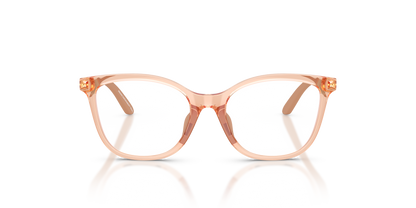 EMPORIO ARMANI EK3011U 6347 48