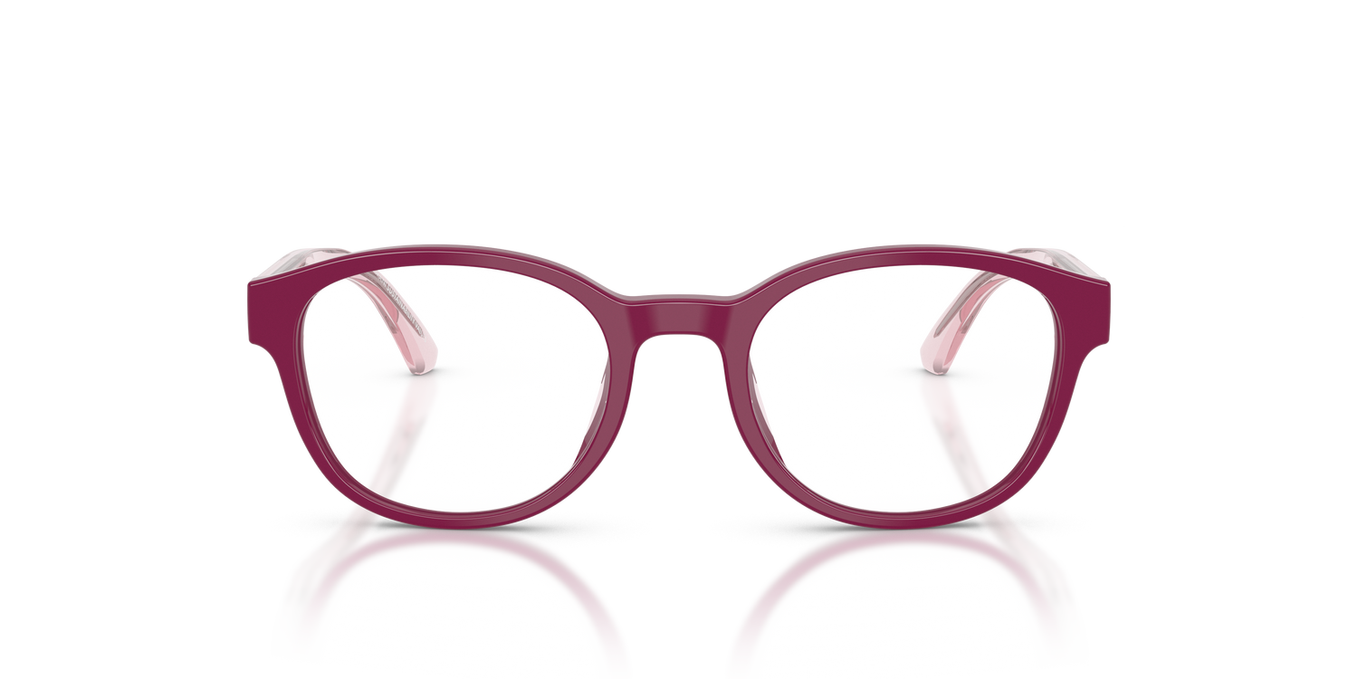 EMPORIO ARMANI EK3012U 6383 49