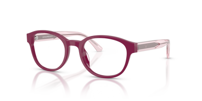 EMPORIO ARMANI EK3012U 6383 49