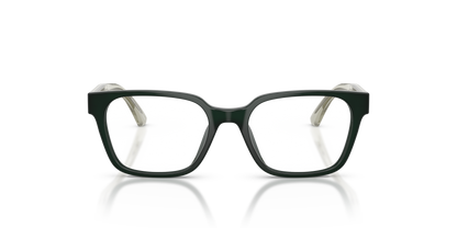 EMPORIO ARMANI EK3013U 6381 46
