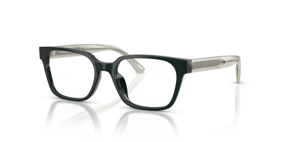 EMPORIO ARMANI EK3013U 6381 46