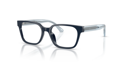 EMPORIO ARMANI EK3013U 6382 46