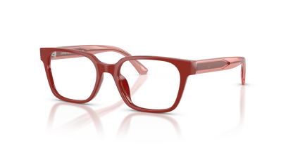 EMPORIO ARMANI EK3013U 6385 48