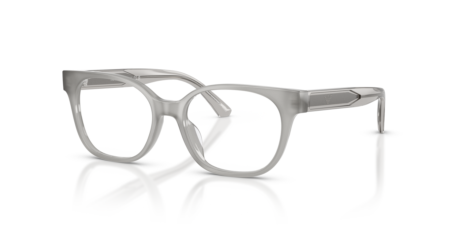 EMPORIO ARMANI EK3014U 6386 48