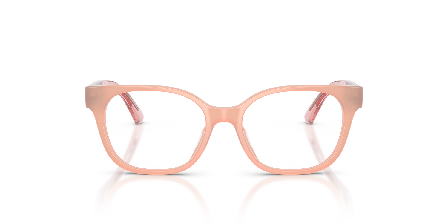 EMPORIO ARMANI EK3014U 6387 46