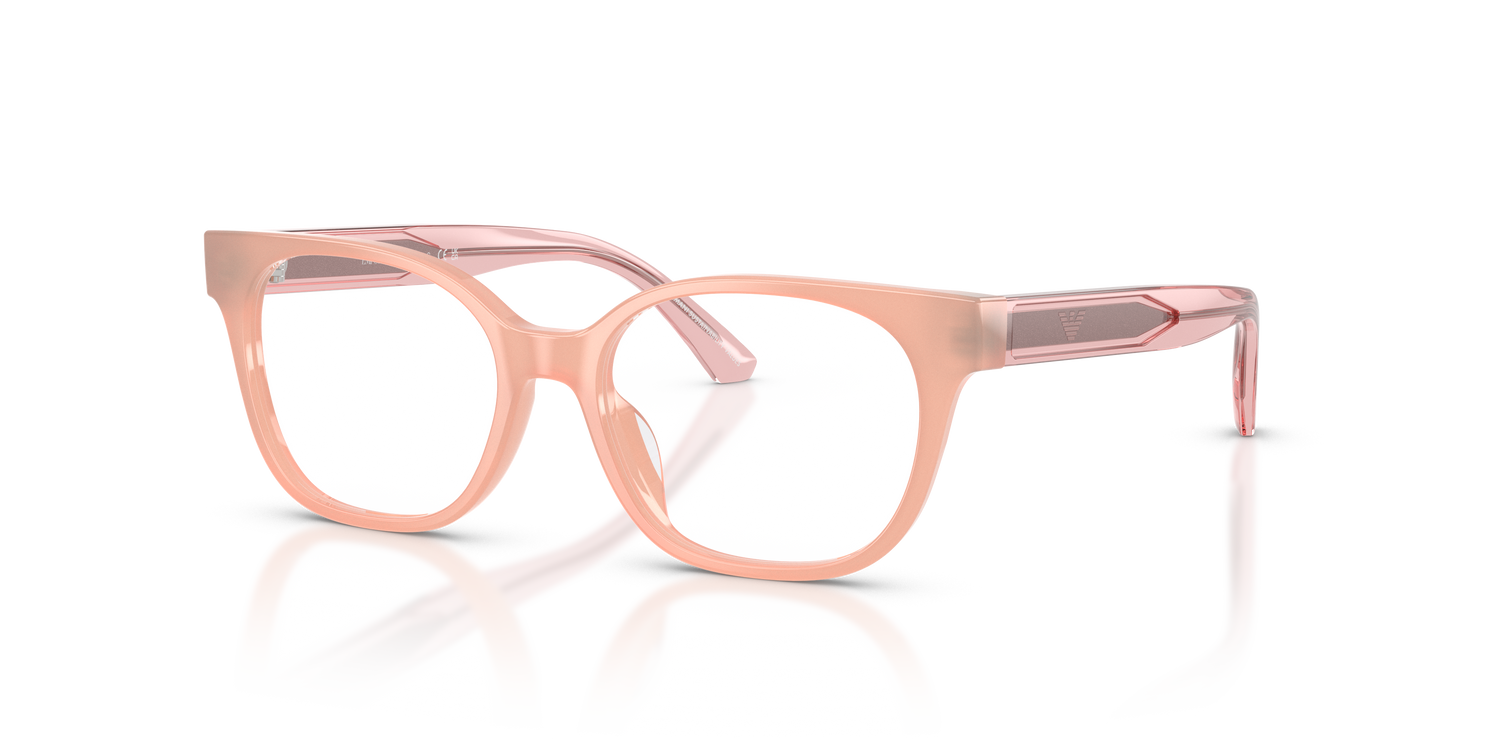 EMPORIO ARMANI EK3014U 6387 46