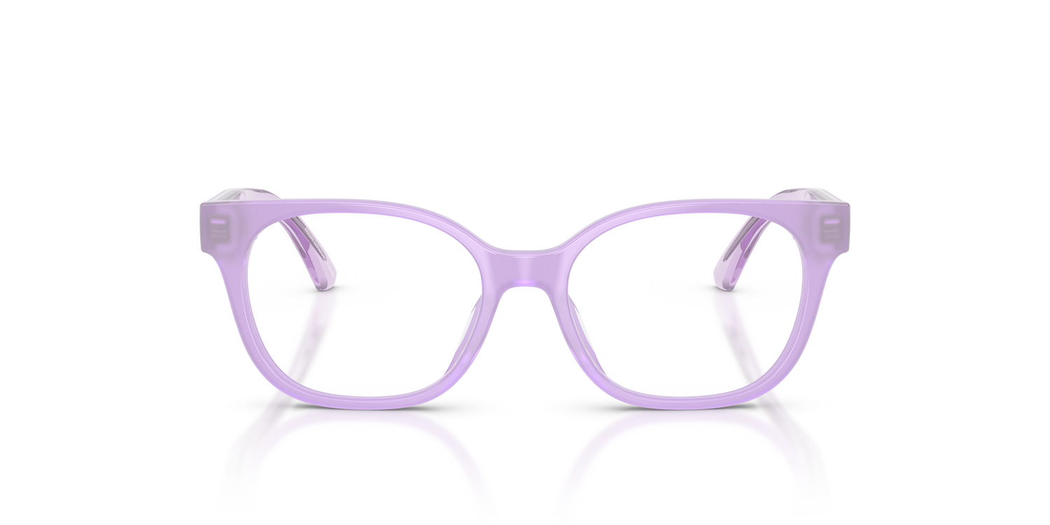 EMPORIO ARMANI EK3014U 6388 46