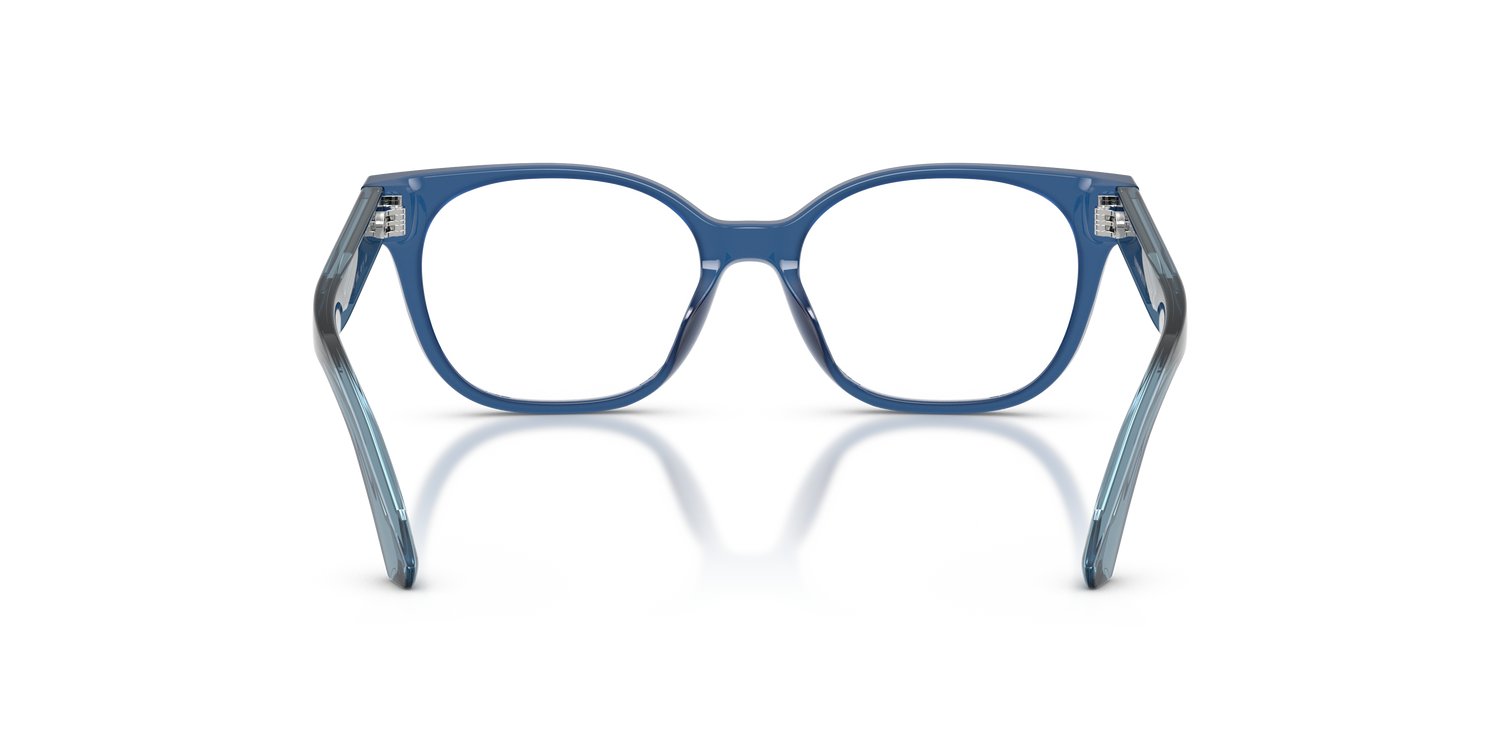 EMPORIO ARMANI EK3014U 6390 48