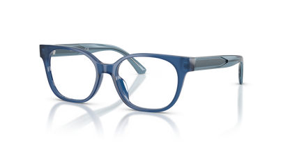 EMPORIO ARMANI EK3014U 6390 48