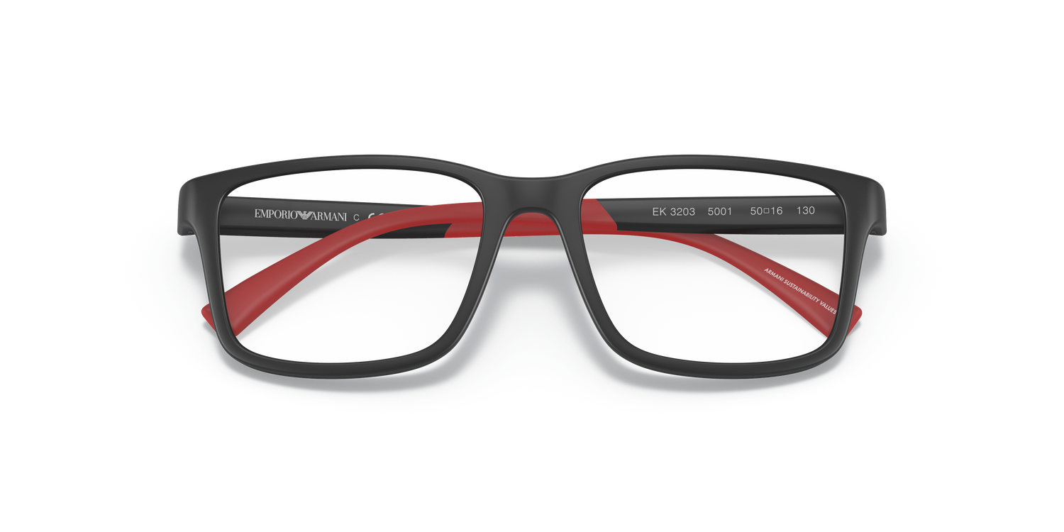 EMPORIO ARMANI EK3203 5001 48