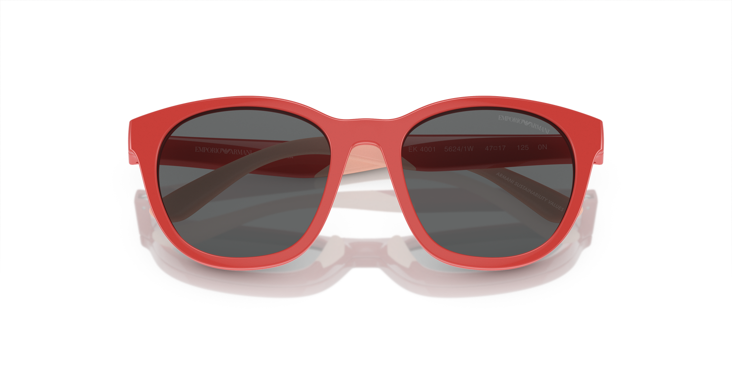 EMPORIO ARMANI EK4001 56241W 47