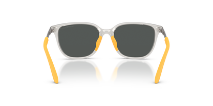 EMPORIO ARMANI EK4006U 627987 49