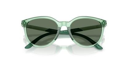 EMPORIO ARMANI EK4007U 628182 49