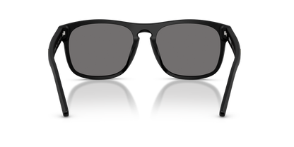 FERRARI SCUDERIA FZ6020U 701/81 57