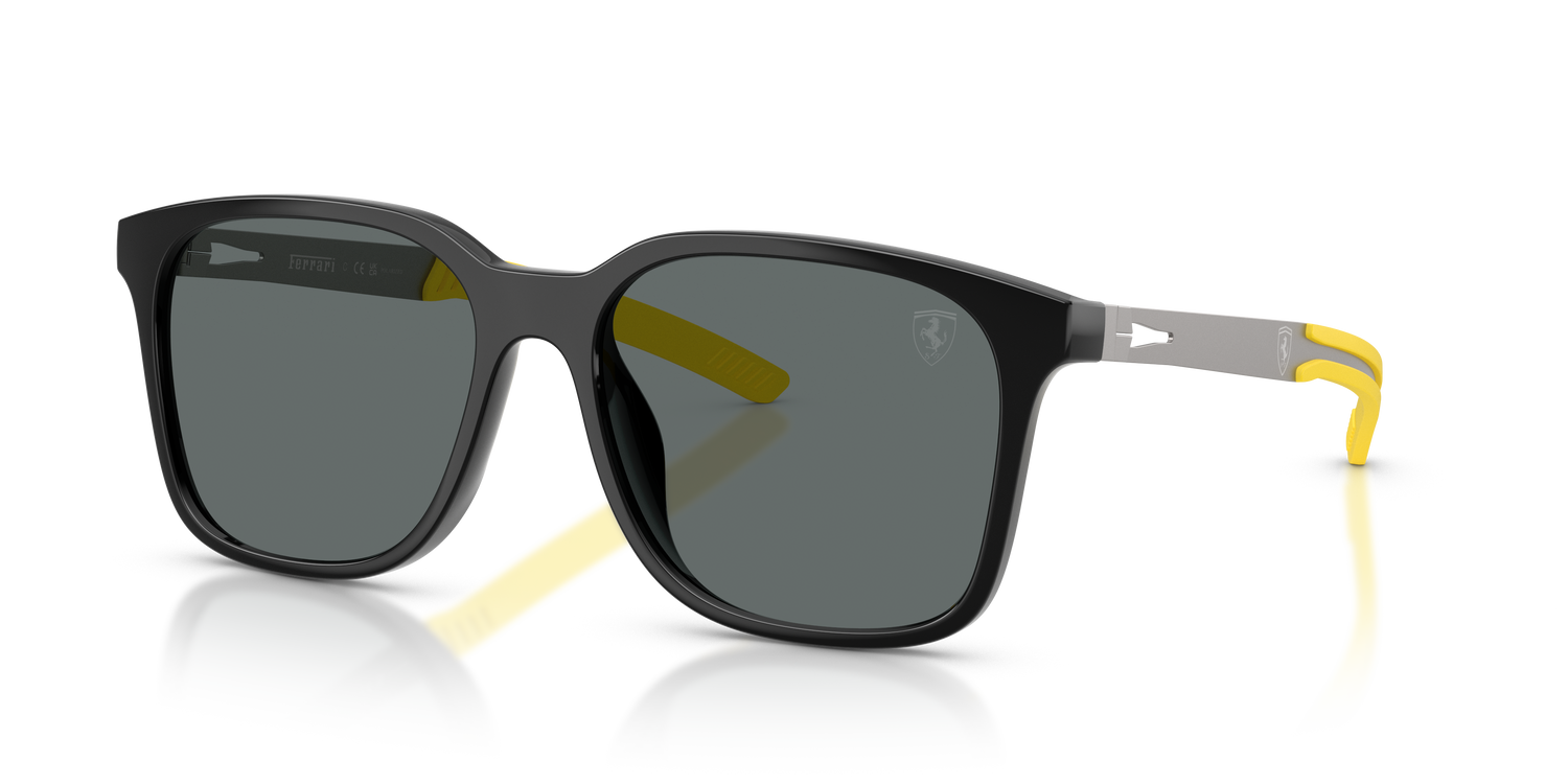 FERRARI SCUDERIA FZ6025D 501/81 57