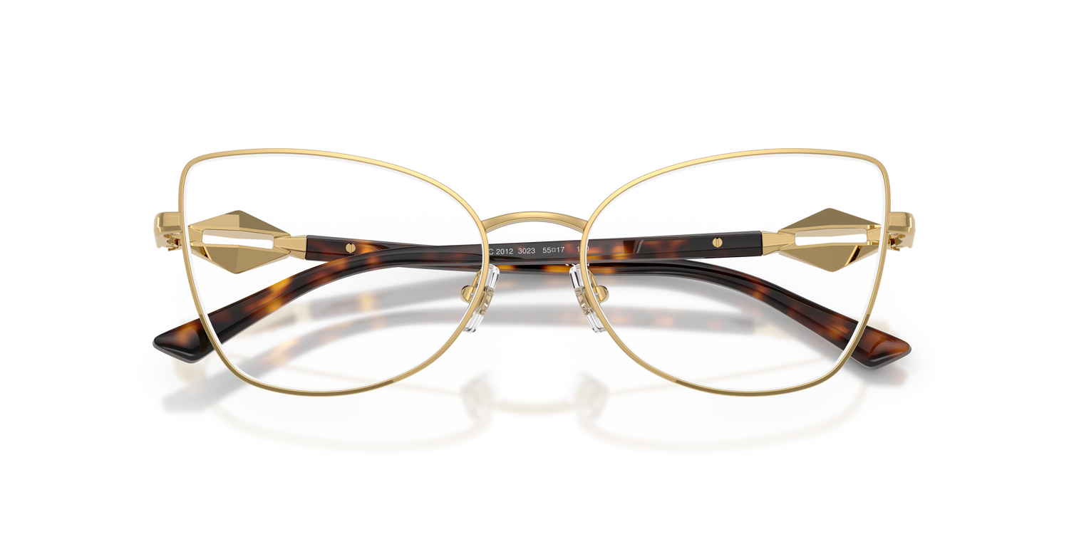 JIMMY CHOO JC2012 3023 55