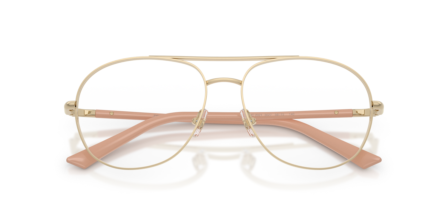 JIMMY CHOO JC2021 3027 54