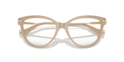 JIMMY CHOO JC3001B 5015 54