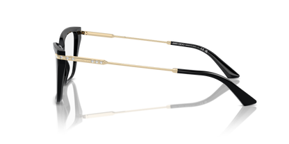 JIMMY CHOO JC3002B 5000 55