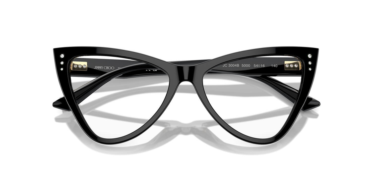 JIMMY CHOO JC3004B 5000 54