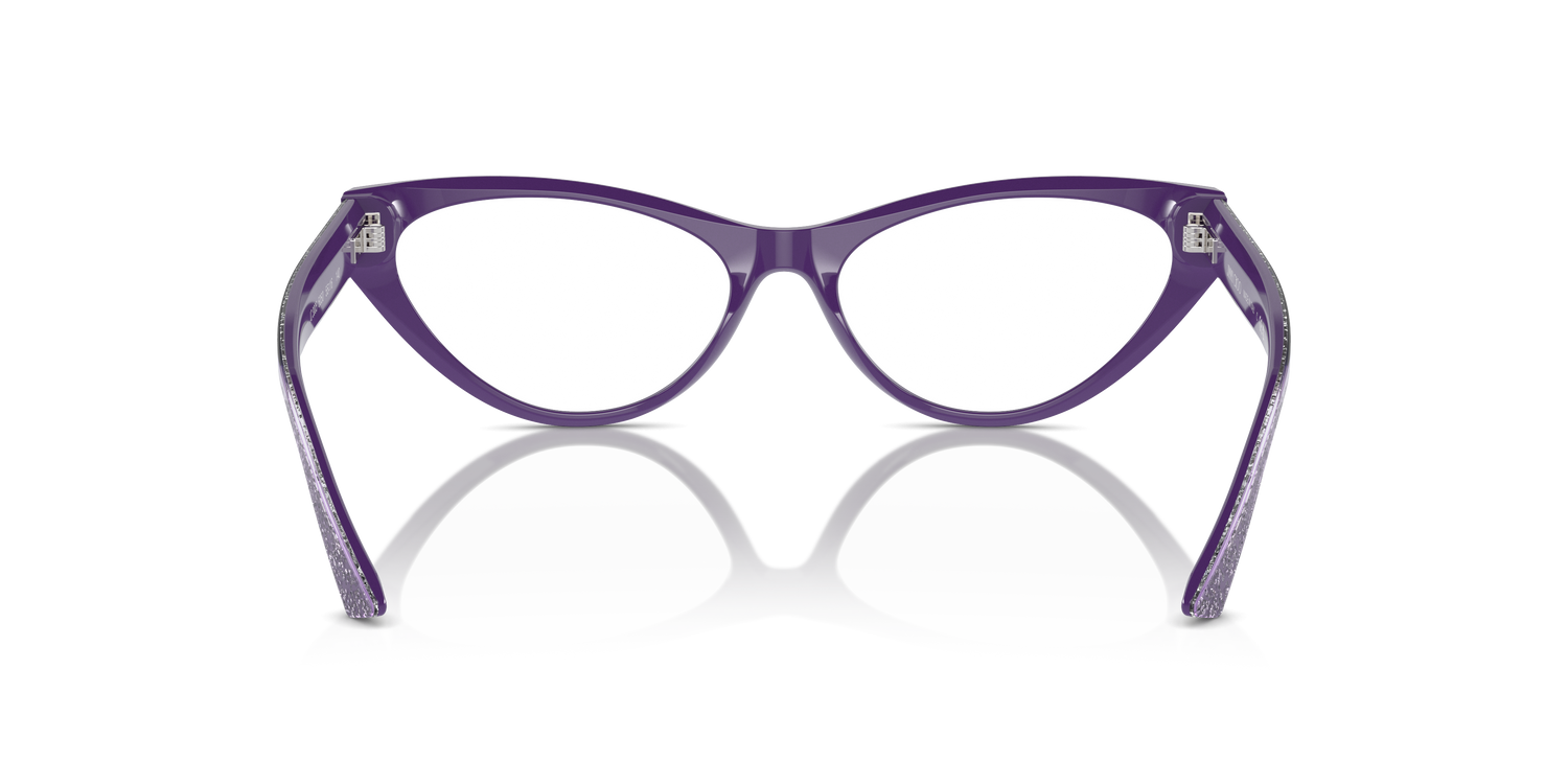 JIMMY CHOO JC3005 5050 55