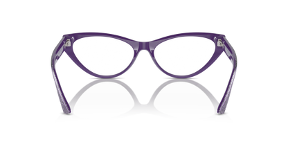 JIMMY CHOO JC3005 5050 55