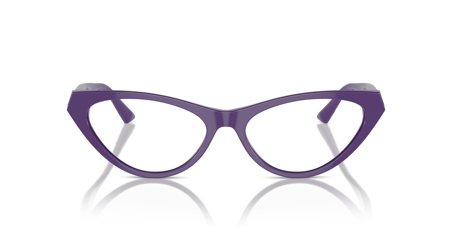 JIMMY CHOO JC3005 5050 53