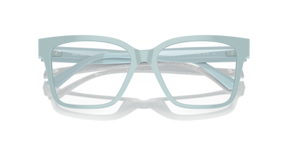 JIMMY CHOO JC3006U 5009 55