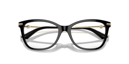 JIMMY CHOO JC3007HB 5000 52