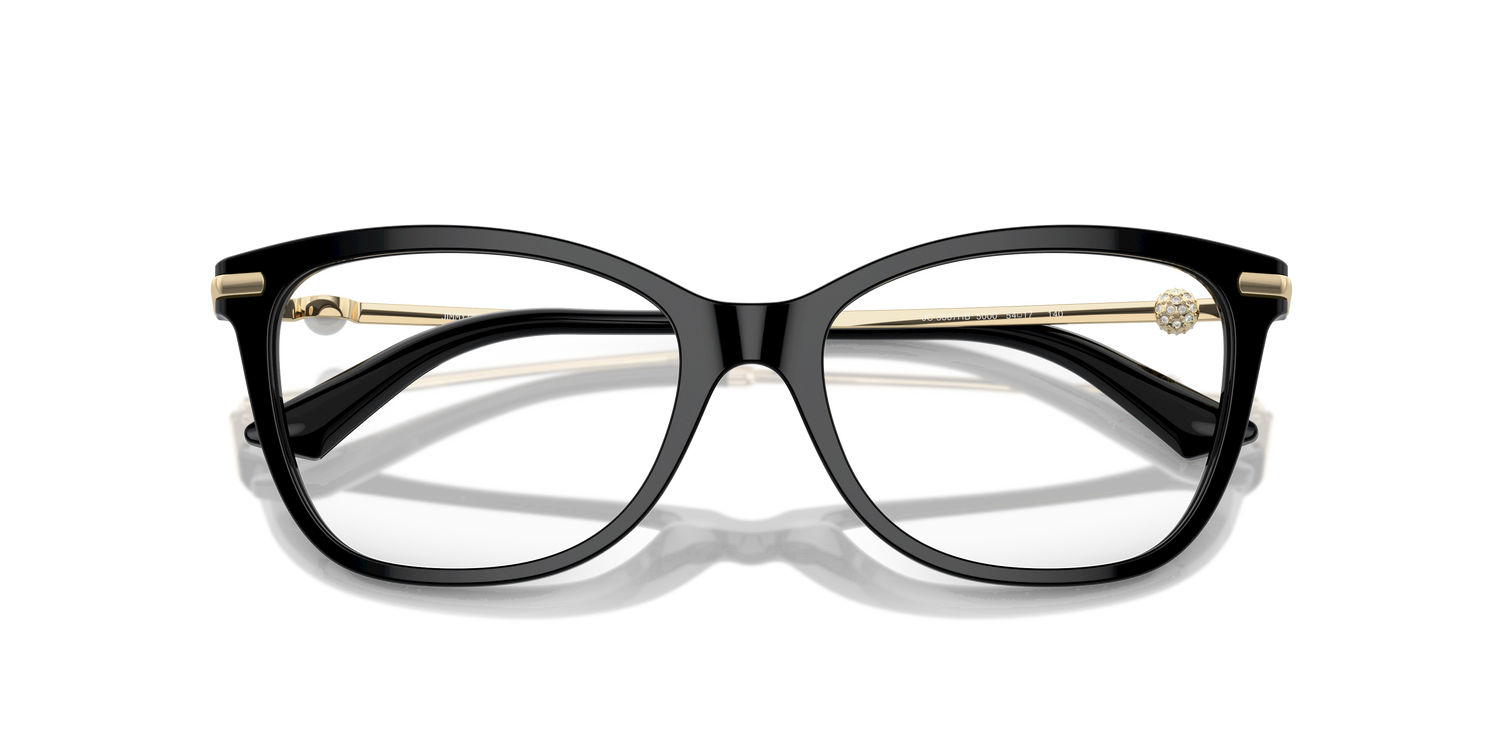 JIMMY CHOO JC3007HB 5000 54