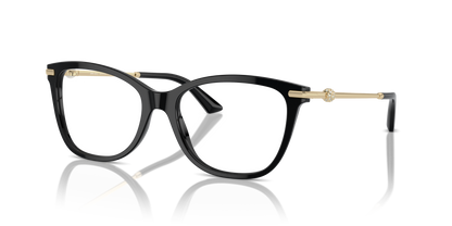 JIMMY CHOO JC3007HB 5000 54