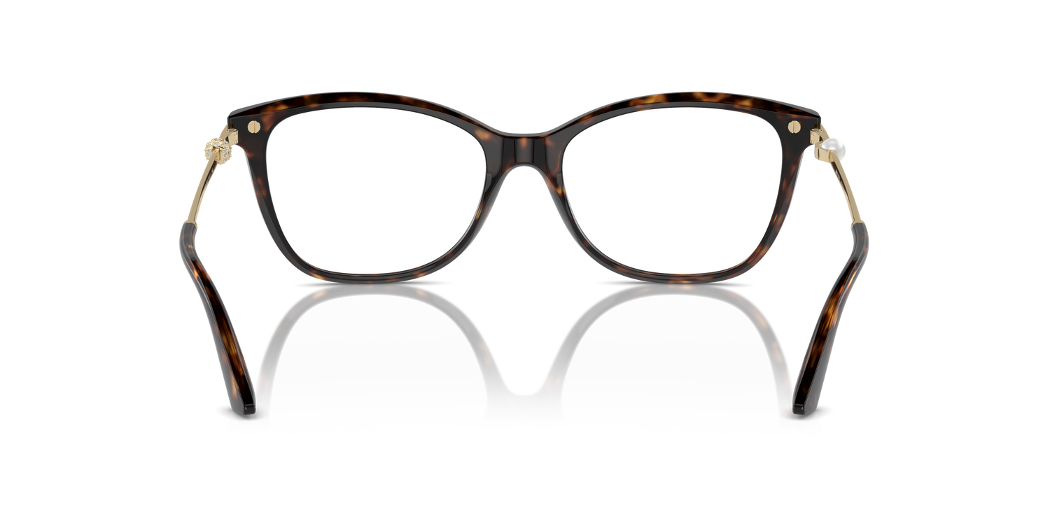 JIMMY CHOO JC3007HB 5002 54