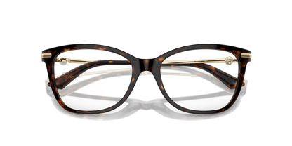 JIMMY CHOO JC3007HB 5002 52