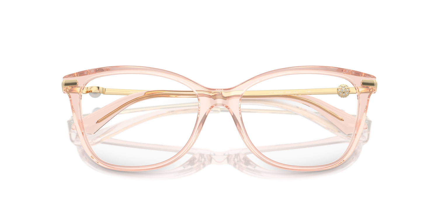 JIMMY CHOO JC3007HB 5034 52