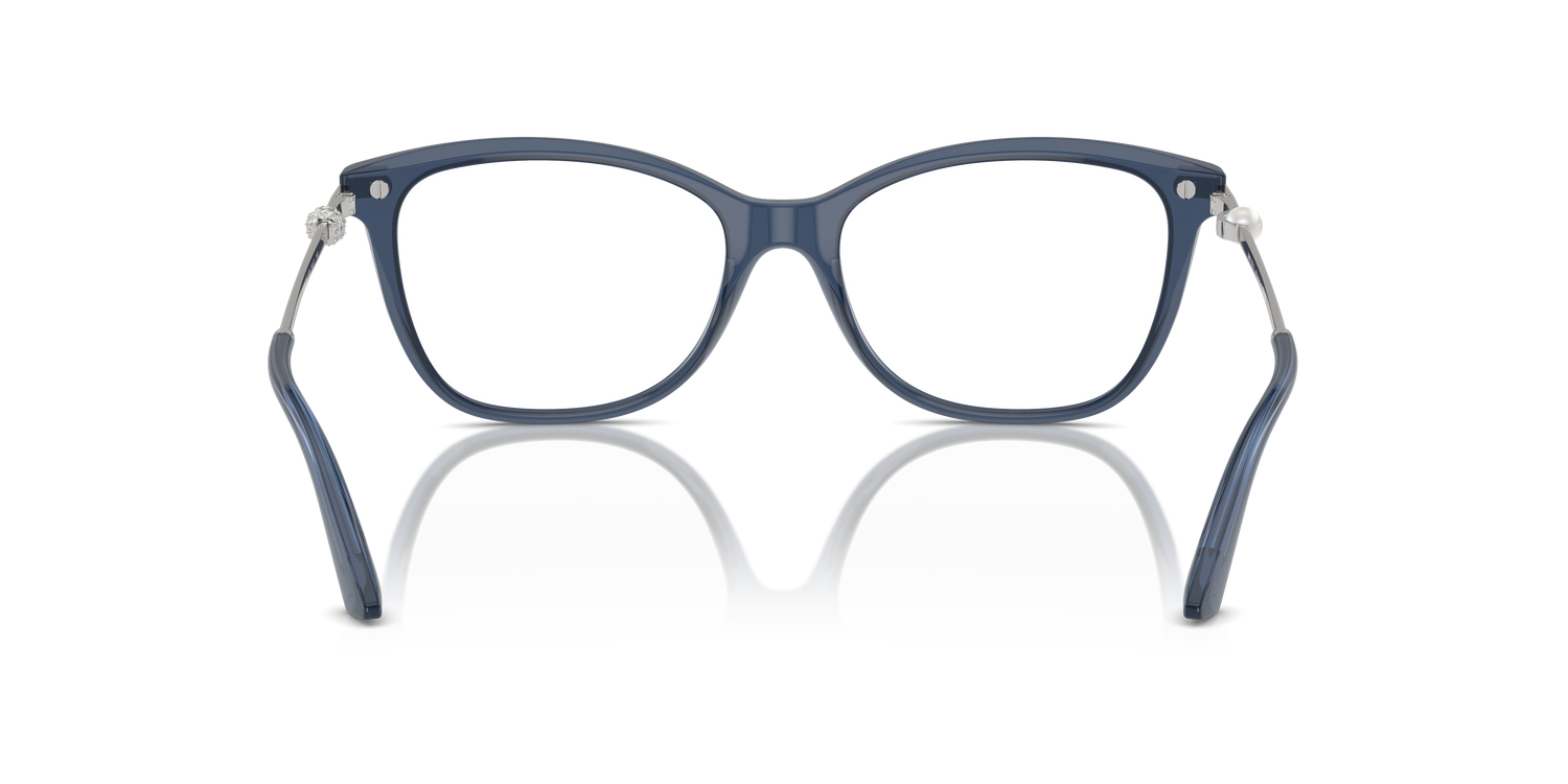 JIMMY CHOO JC3007HB 5035 52