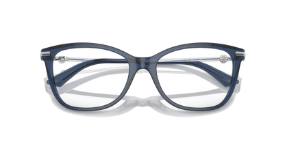 JIMMY CHOO JC3007HB 5035 52