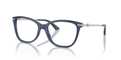 JIMMY CHOO JC3007HB 5035 52