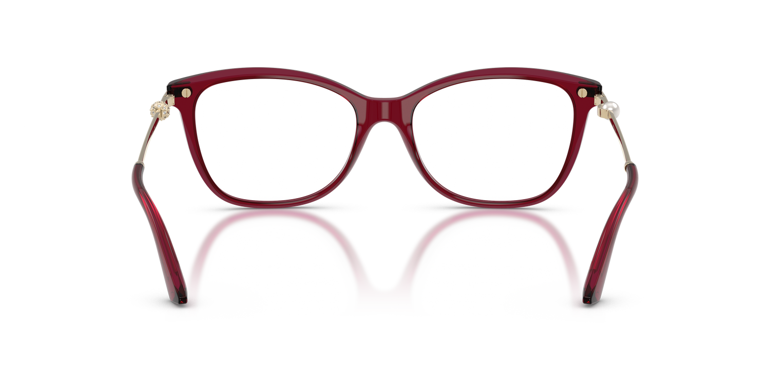 JIMMY CHOO JC3007HB 5062 52