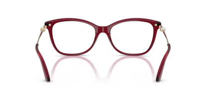 JIMMY CHOO JC3007HB 5062 52