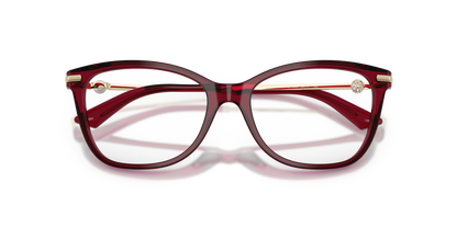 JIMMY CHOO JC3007HB 5062 52