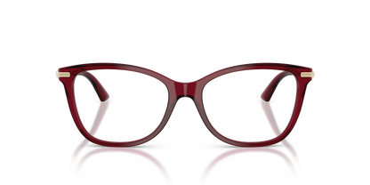 JIMMY CHOO JC3007HB 5062 52