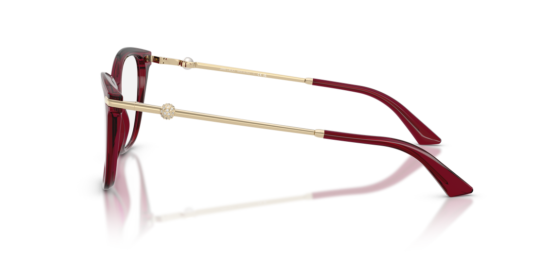 JIMMY CHOO JC3007HB 5062 54