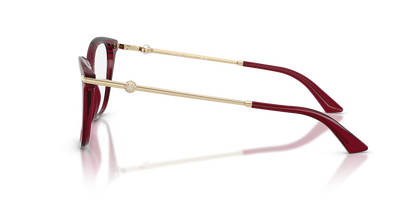 JIMMY CHOO JC3007HB 5062 54